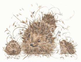 Hedgie & the Hoglets yorkshire gallery art Mirfield
