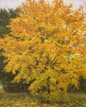 Bruce Mulcahy Original Image Autumn Tree, Bretton Park Picture Lenscape Mirfield